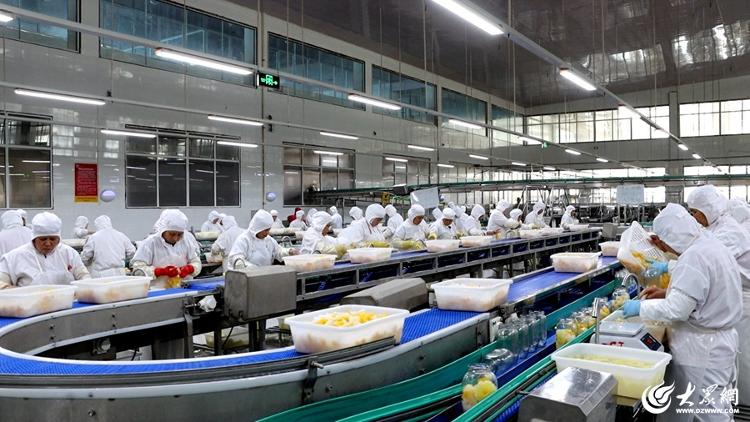 讲好工业故事 全国主流网络媒体走进临沂